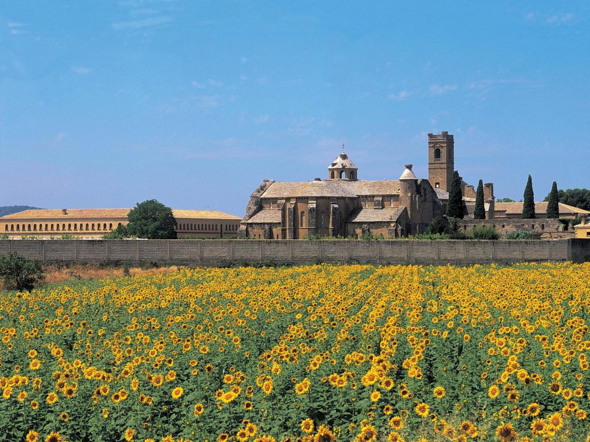 Hospederia De Alesves Hotel Villafranca Exterior photo
